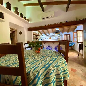 Puerto De Pollensa And Apartments, With Private Mountain Ideal For Runners, Trailers,near Approximately 5 Minutes Walking, Unique Experience In A Ullal Old Typical Mallorca House With Private Mountain And Near To The Beac Apartment
